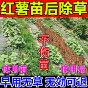 红薯地专用除草剂苗前苗后除草禾阔双除不伤红薯苗田除草烂根剂 一瓶装【无优惠不划算】多买多送