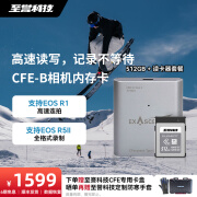 至誉科技Element系列CFeB卡CFexpressType B高速存储卡 XQD卡 佳能尼康松下相机用CFEB卡 512GB+单卡槽读卡器套餐 顺丰速递