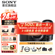 索尼（SONY）ZV-E10L微单数码相机直播美颜Vlog神器APS-C半画幅视频zve10侧翻液晶屏 黑机双镜（镜头16-50+55-210远摄） 套餐一入门【一年延保+64g卡+备用电池包等】