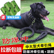 嬉皮狗（hipidog）大型犬狗链子大狗牵引绳带狗绳狗项圈阿拉斯加德牧金毛狗狗牵引绳 牵引绳+项圈：黑色 中号(建议26-60斤)