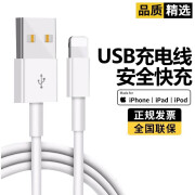 原装适用苹果ipad6充电器ipad7/8/9专用7代A1893充电头A2197套装 usb线2米