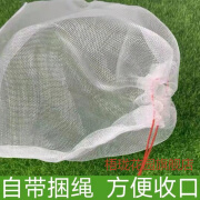 梧珑尼龙过滤纱网袋晾干菜晒腊肉火腿防虫网兜果套袋防鸟茶青种子蛇袋 25宽x35cm长 5个(食品级网袋)