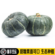 禾人贝贝南瓜 板栗味南瓜  栗面南瓜 禾人 贝贝南瓜 3000g 【6枚礼盒装】