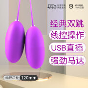 女用品激情趣用具调情插入式强劲强震女性玩具高潮跳弹 usb双