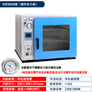 实验室用小型真空干燥箱恒温抽气烘箱除泡消泡烘干机烤箱DZF6020 DZF6020(25L)