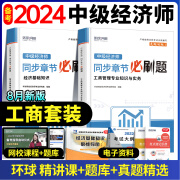 环球网校中级经济师2024年教材人力资源管理师金融财政税收工商管理实务建筑与房地产经济基础知识历年真题试卷题库网课官方2023年 [工商+基础]必刷题 2本套