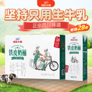 菊乐铁皮奶桶纯牛奶255g*12盒3.6g乳蛋白学生早餐奶新老包装随机发货