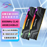 新乐士（SAMNIX）台式机内存条 48GB(24GBx2)DDR5 8000Mhz C40 黑灰 RGB灯条 海力士M-die 幻影王者电竞游戏