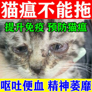 猫鼻支猫瘟特效口服药猫腹水宠物提高食欲营养药呕吐干湿性腹膜炎 单盒装【50ml】