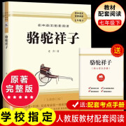 【官方正版】人教版教材配套阅读 七年级必读名著初一必读课外书目初中生读物课外阅读书籍 人民教育出版社人教版初一统编教材配套阅读 原著必读正版完整版无删减版 图书 七年级下册-必读-骆驼祥子+考点手册