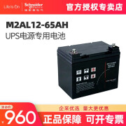 施耐德 M2AL12-65AH梅兰日兰UPS电源电池 APC 现货