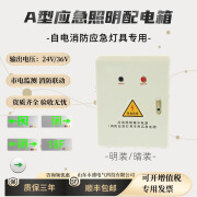 姒桀a型应急照明配电箱敏华应急照明集中电源DC24v36v分配电箱控制器 200W DC24V