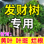 发财树营养液叶子发黄掉叶烂根专用枯黄叶起斑绿植物肥料专用非药 1瓶【500ml】一斤装 500ml 1瓶