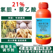 比赛尔赛力士 21%氯胆萘乙酸马铃薯调节生长农药调节生长剂 500g*1瓶