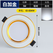 圣品顿 led筒灯客厅全套嵌入式桶灯开孔7-8公分天花洞灯孔灯 2.5寸白加金5w白光