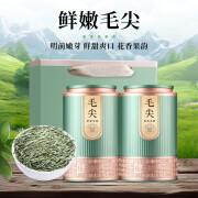 杰盈茶叶信阳绿茶毛尖350g 2024新茶茶叶自己喝送礼皆宜