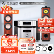 天逸（Winner）AD-2PRO+高保真发烧HIFI 2.0声道大功率音乐立体声甲类合并式功放机音响功放机 套餐11：搭配TY1CD + 惠威DIVA6.1F