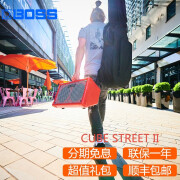 罗兰ROLAND罗兰户外多功能音箱 CUBE STREET EX便携式木吉他弹唱音响 CUBE STREET II（红色）