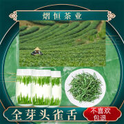 雀舌绿茶2024新茶湄潭翠芽明前毛尖清香散装贵州高山云雾茶叶 正宗 全芽 -250克 雀舌袋装