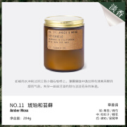 P.F.Candle CO香薰蜡烛美国香氛植物精油卧室香氛高小众级闺蜜女生日情人节礼物 琥珀和苔藓 204g