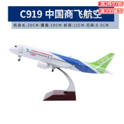 栀司商飞C919飞机模型带起落架灯光航模客机摆件收藏20-47cm [带轮无灯]中国商飞C919-20cm