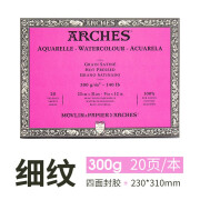 阿诗（ARCHES）水彩本纯棉水彩纸进口300g画画纸水彩画专业用纸四面封胶 粉面 细纹(23X31CM) 20页/本