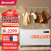 Brandt法国白朗取暖器石墨烯电暖器电热烤火炉取暖神器全屋升温家用电暖气客厅大面积欧式快热炉浴室防水 2200W【适用面积15-30㎡】APP远程遥控