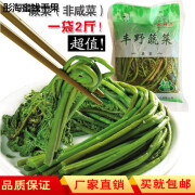 辣铺乐蕨菜新鲜2斤含水蕨菜非咸菜即食绿蕨菜水蕨菜 1000g