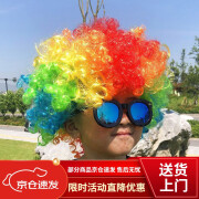 捷迈疯狂发型日儿童发套幼儿园男女孩假发表演搞笑可爱短发卷发爆炸头 彩色款