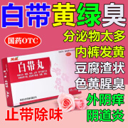 白带丸 治白带异常专用药白带多内裤发黄分泌物多妇科专用有异味豆腐渣状霉菌性阴道炎口服外塞洗剂用药万岁 1盒【中药成分 除湿止带】