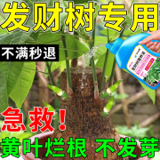 发财树专用植物营养液适用于发财树小乔植物盆栽枝叶发黄萎靡烂根 一瓶500ml【营养丰富】