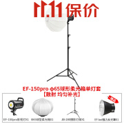 金贝（JINBEI） EF-150pro金贝补光灯直播摄影LED专业大型直播间灯光球形灯  EF-150pro单灯球形补光灯【均匀散射光】