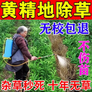 黄精除草剂黄精地专用除草烂根剂苗前后封闭型不伤苗强力一扫光药 1瓶【兑水50斤】