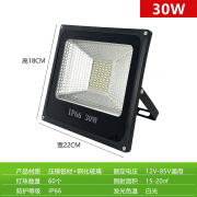 雷纪低压LED投光灯户外防水12V24V36V通用船用电瓶直流夜市灯摆地摊灯 LED30W低压12-85V通用-超光