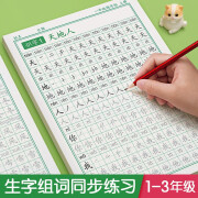 字帖练字专用语文同步练字帖一年书法练字本儿童笔画笔顺正楷描红 一年级下册（120页）