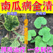 南瓜专用杀菌药南瓜病全杀全管防治斑点病白粉病枯萎病速效杀菌剂 1瓶装【不划算】