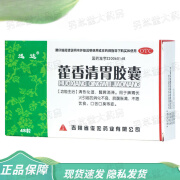 迅达 藿香清胃胶囊 0.32g*48粒 清热化湿 消化不良 1盒装