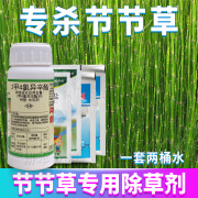 节节草除草剂木贼笔管筒草克星烂根药二甲四氯钠专用灭杀除草药剂 180g