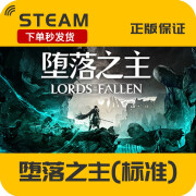 Steam正版国区KEY 堕落之主 Lords of the Fallen 激活码CDKEY 标准 国区