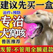 犬窝咳专用特药窝咳净小狗狗幼犬干呕咳嗽感冒流鼻涕发烧克星止咳平喘免疫蛋白肽 1瓶免疫液【对症犬窝咳】