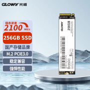 光威（Gloway） SSD固态硬盘 M.2接口(NVMe协议) Basic系列基础版/升级版 256GB Basic-基础版