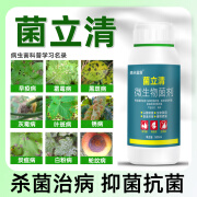 菌立清微生物菌剂锈病炭疽病白粉病烂根病早晚疫病新型真菌杀菌剂 菌立清500g*1瓶