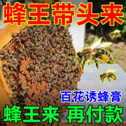 诱蜂膏招蜂引蜂专用诱蜂蜡养蜂诱蜂中蜂专用蜂腊引蜂招土蜂蜡野外 单瓶装【推荐多瓶装】