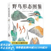 野鸟形态图鉴 鸟类图鉴野生动物自然观察博物学生物科普书籍 后浪童书