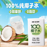 II海南特产 100纯椰子水NFC果汁饮料 非浓缩 天然植物电解质 250mL 南国椰子水