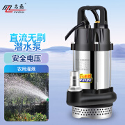 名磊无刷直流潜水泵农用抽水泵家用菜地浇水泵 550W1寸48-60-72V20米线