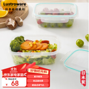 LUSTRO WARE【原装进口】日本保鲜盒食品级塑料密封水果盒冷冻饺子厨房收纳盒 保鲜盒（日本制） 2件套 900ml /件