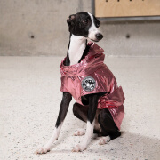 PEBOT秋冬新款阿丽塔宠物衣服狗狗雨衣中型犬防水轻薄连帽冲锋衣 掌丘粉(2024新色) 背长20 (体重1.5~2.5公斤)