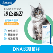 猫舍定制｜宠知因银色基因 宠物猫咪基因检测