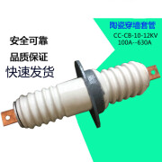 CC-10KV200A400A630A户内铜导体高压穿墙套管CB-12KV铜排白陶瓷